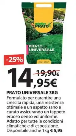 Kreo Brico e Casa Miglior prato universale offerta