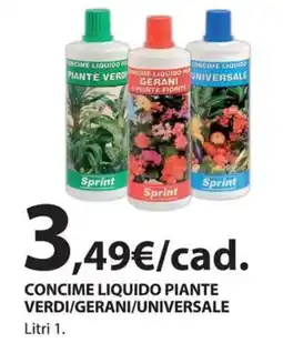 Kreo Brico e Casa Concime liquido piante verdi/gerani/universale offerta