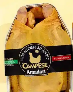 Iperal Pollo allevato all'aperto campese AMADORI offerta
