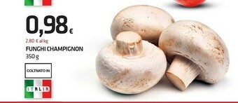 Funghi champignon