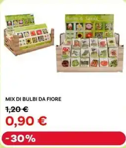 Max Factory Mix di bulbi da fiore offerta