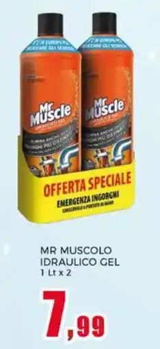 Happy Casa Mr muscolo idraulico gel offerta