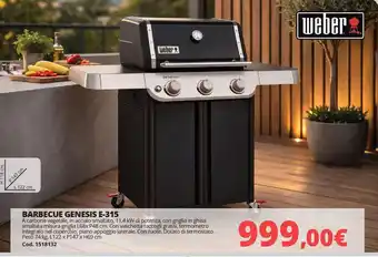 Barbecue genesis E-315