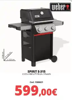 Brico Io weber Spirit E-315 offerta