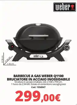 Brico Io weber Barbecue a gas weber Q1100 bruciatore in acciaio inossidabile offerta