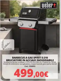 Brico Io weber Barbecue a gas spirit E-210 bruciatore in acciaio inossidabile offerta