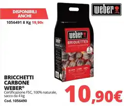 Brico Io Bricchetti carbone WEBER offerta