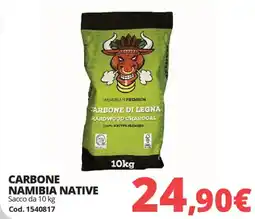 Brico Io Carbone namibia native offerta