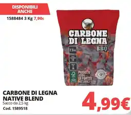 Brico Io Carbone di legna native blend offerta