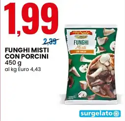 Eurospin Delizie dal Sole Funghi misti con porcini offerta