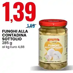 Eurospin Delizie dal Sole Funghi alla contadina sottolio offerta