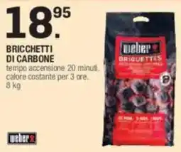 Brico OK weber Bricchetti di carbone offerta