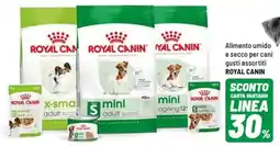 Iper La Grande Alimento umido e secco per cani ROYAL CANIN offerta