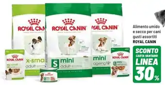 Alimento umido e secco per cani ROYAL CANIN