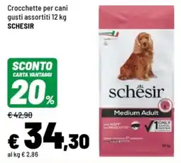 Iper La Grande Crocchette per cani SCHESIR offerta