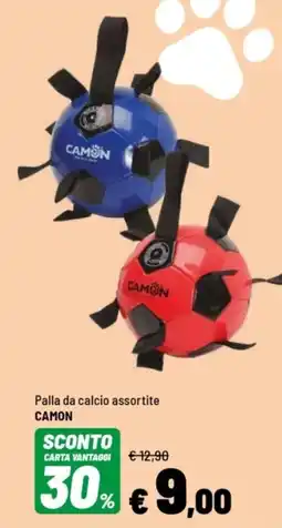 Iper La Grande Palla da calcio assortite CAMON offerta