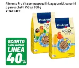 Iper La Grande Alimento Pro Vita per pappagallini, agapornidi, canarini o parrocchetti VITAKRAFT offerta