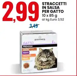 Eurospin Radames straccetti in salsa per gatto offerta