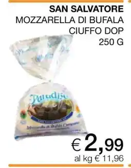 Coop SAN SALVATORE MOZZARELLA DI BUFALA CIUFFO DOP offerta