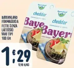Gruppo Pascar BAYERNLAND FORMAGGIO A FETTE SENZA LATTOSIO offerta