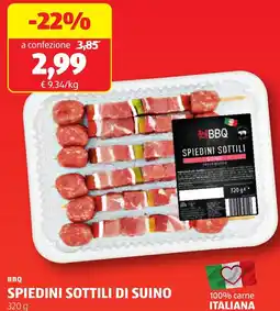 ALDI Bbq spiedini sottili suino offerta