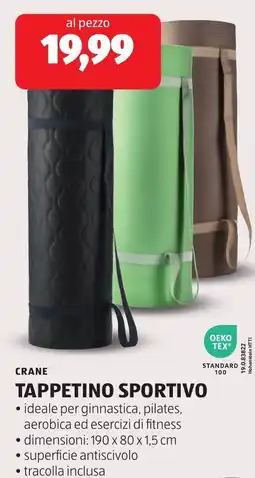 ALDI Crane tappetino sportivo offerta