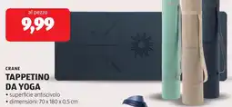 ALDI Crane tappetino da yoga offerta