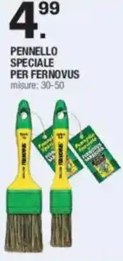 Brico OK Saratoga pennello speciale per fernovus offerta