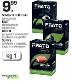 Brico OK Magnani green sementi per prati, fast, green, sunny offerta