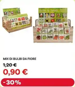 Max Factory Mix di bulbi da fiore offerta