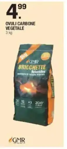 Brico OK GMR Ovuli carbone vegetale offerta