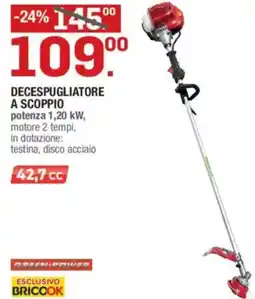 Brico OK Decespugliatore a scoppio offerta