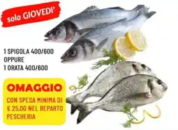 DPiù 1 spigola 400/600 oppure 1 orata 400/600 offerta