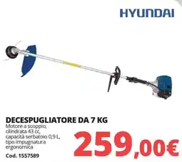 Brico Io Hyundai decespugliatore offerta