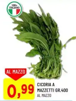 DPiù Cicoria a mazzetti offerta
