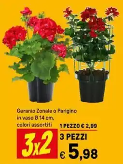 Iper La Grande Geranio Zonale o Parigino in vaso Ø14 cm offerta