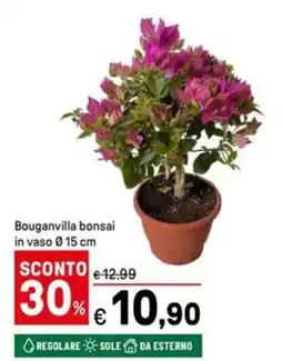 Iper La Grande Bouganvilla bonsai in vaso Ø15 cm offerta