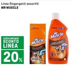 Iper La Grande Linea Disgorganti MR MUSCLE offerta