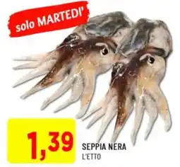 DPiù Seppia nera offerta
