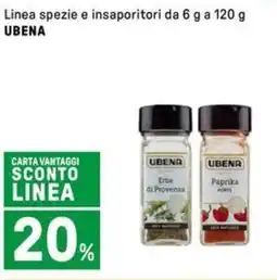 Iper La Grande Linea spezie e insaporitori UBENA offerta
