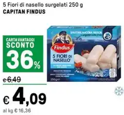 Iper La Grande 5 Fiori di nasello surgelati CAPITAN FINDUS offerta