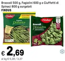 Iper La Grande Broccoli, Fagiolini o Ciuffetti di Spinaci surgelati FINDUS offerta