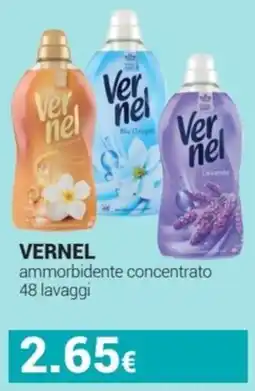 Tigotà VERNEL ammorbidente concentrato offerta