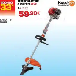 Bricofer Newton decespugliatore a scoppio 26CC offerta