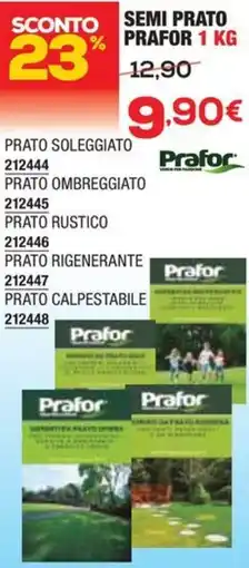 Bricofer Semi prato PRAFOR offerta