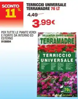Bricofer Terriccio universale terramadre offerta