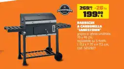 OBI Barbecue a carbonella "jamestown" offerta