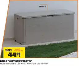 OBI Baule "multibox woody's" offerta