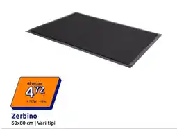 Action Zerbino offerta