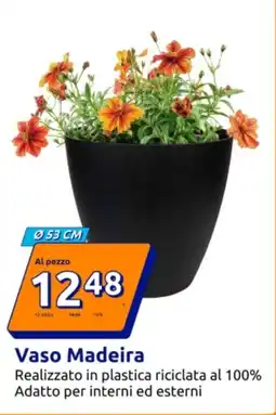 Action Vaso Madeira offerta